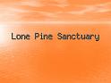 Lone Pine Sanctuary (1)